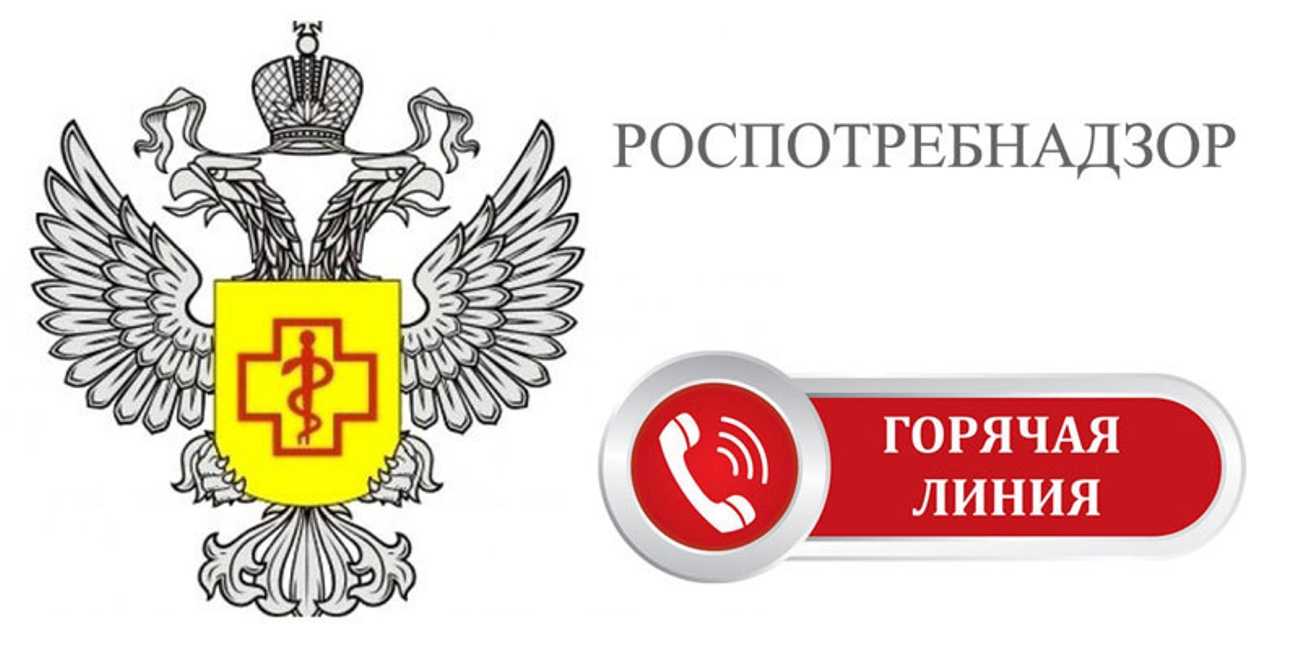 С 04 по 15 декабря 2023 года Управление Роспотребнадзора по Саратовской области организует работу  горячей линии.